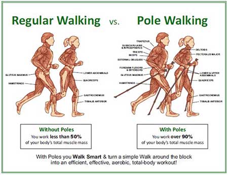 compare regular walking to Pole walking